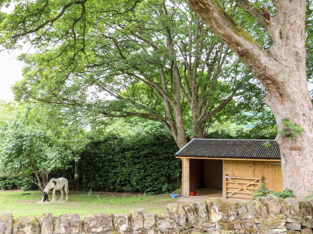 Bluebell Cottage Alfreton Eksteriør billede